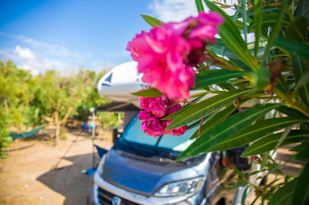 Village & Camping La Foce Valledoria  Ngoại thất bức ảnh